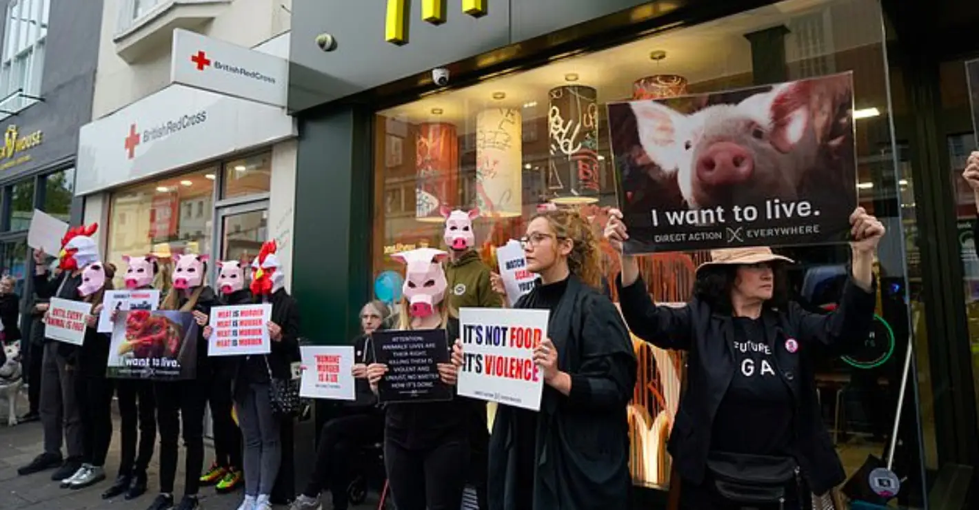 Vegan activists storm McDonald's wearing pig masks and spray 'blood' everywhere