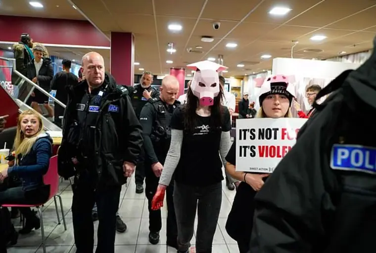 A vegan protestor being arrested.