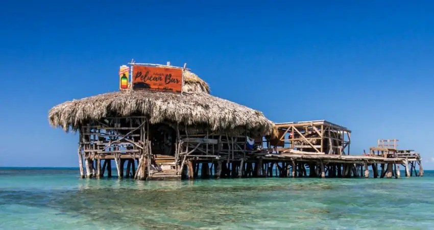 Bartender needed for paradise bar floating mile off Jamaica