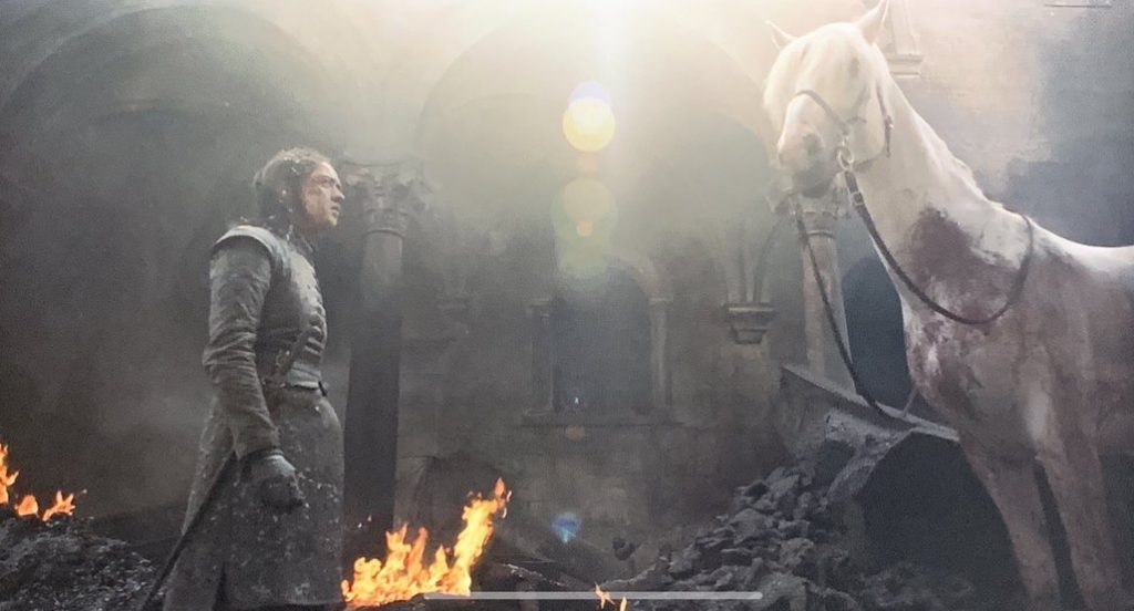 Arya and the Horse