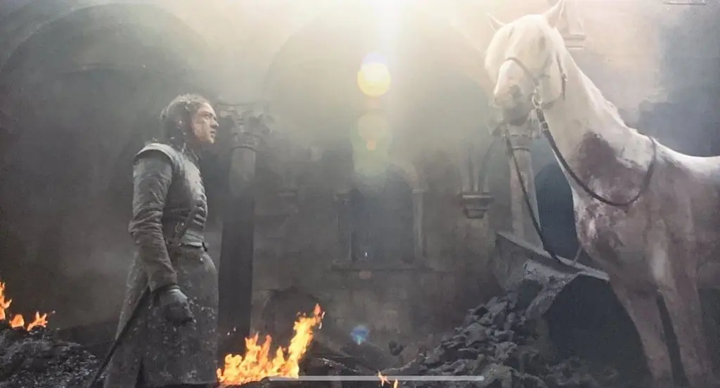 Arya and the Horse