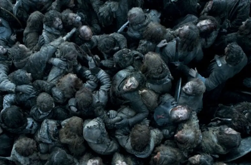 Jon Snow during the Battle of the B***rds.