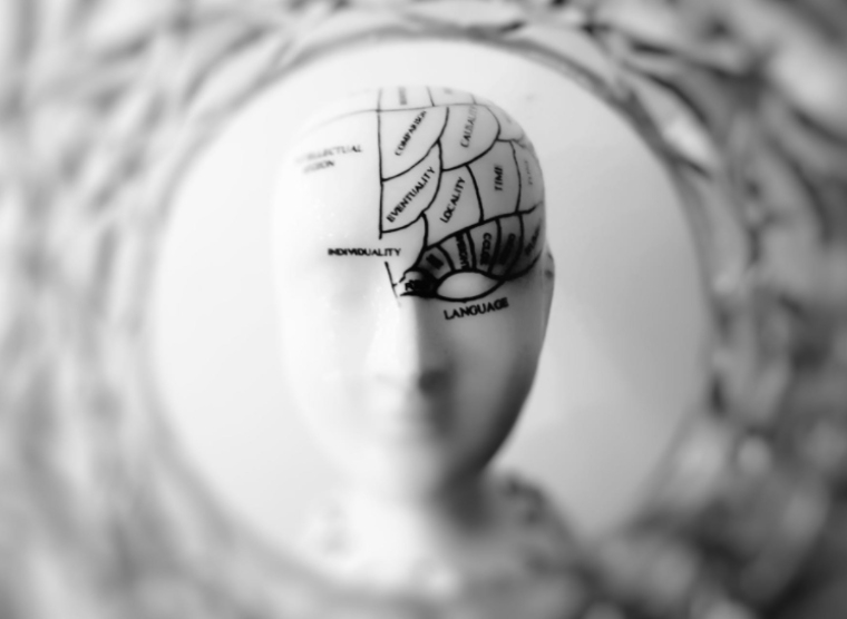 A breakdown of the parts of a human brain. 