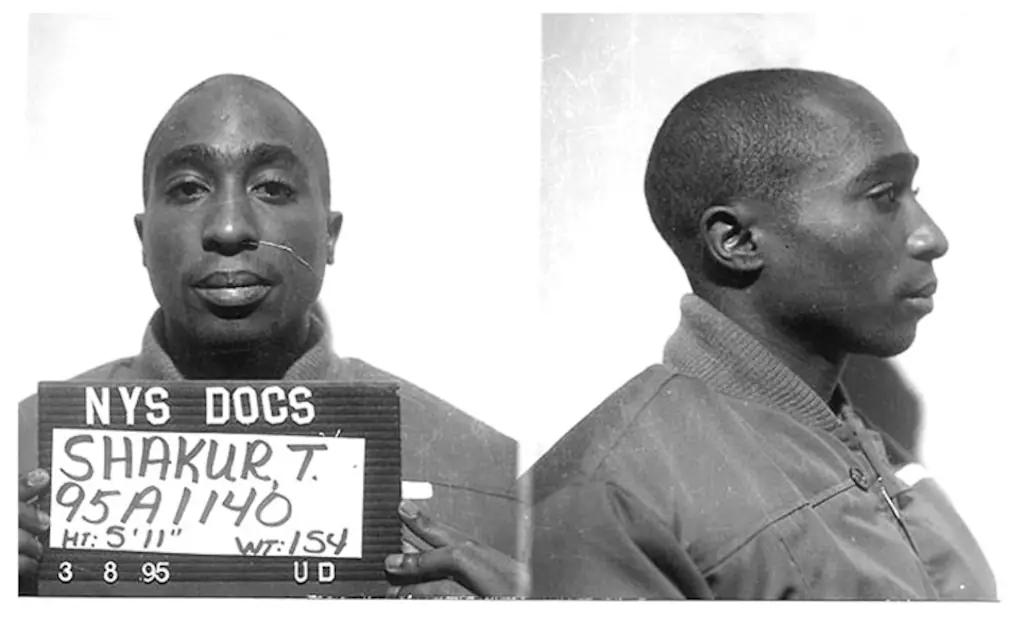 Tupac's mugshot after he was arrested for sexually assaulting a fan.