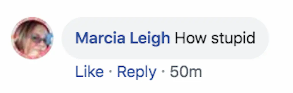 A Facebook comment.