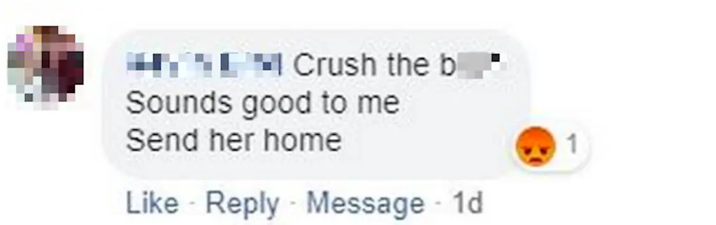 A Facebook comment.