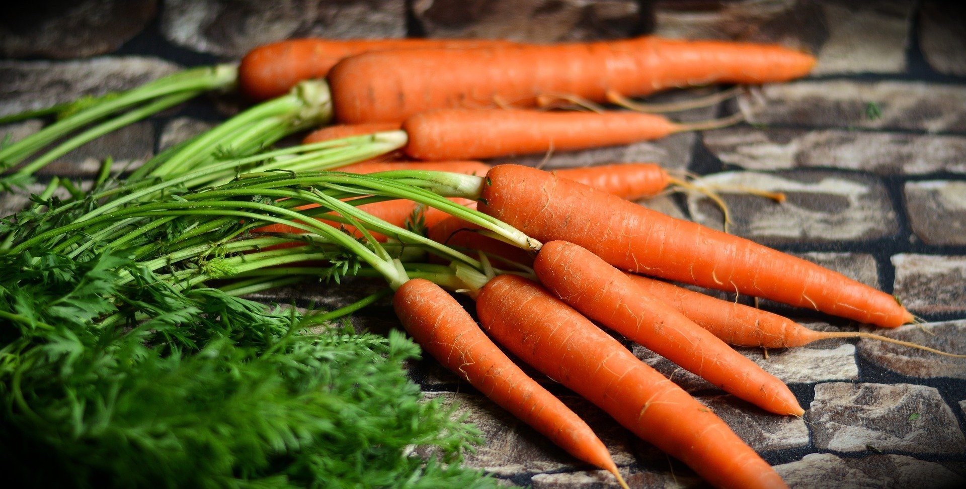 Carrots in ground
