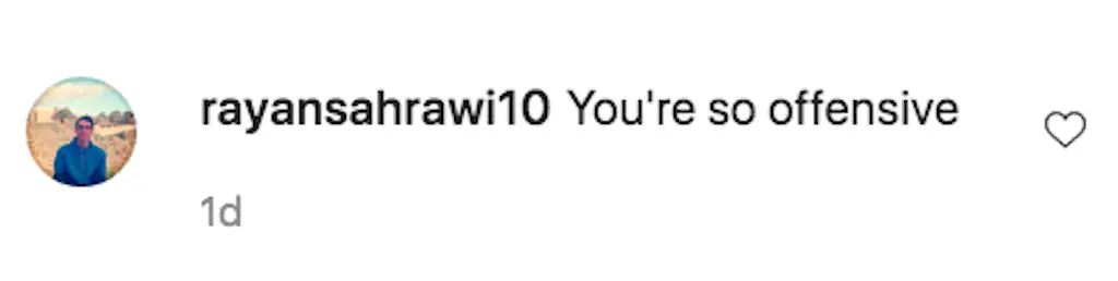 An Instagram comment.