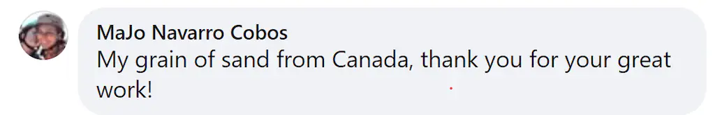 A Facebook comment. 
