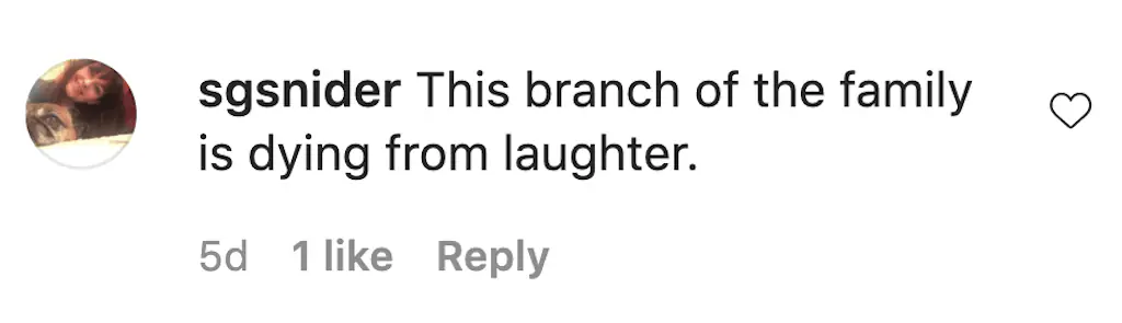 An Instagram comment. 