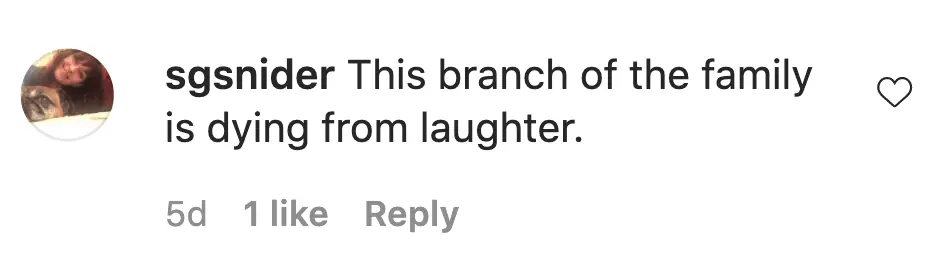 An Instagram comment. 