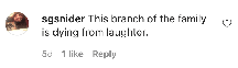 An Instagram comment. 