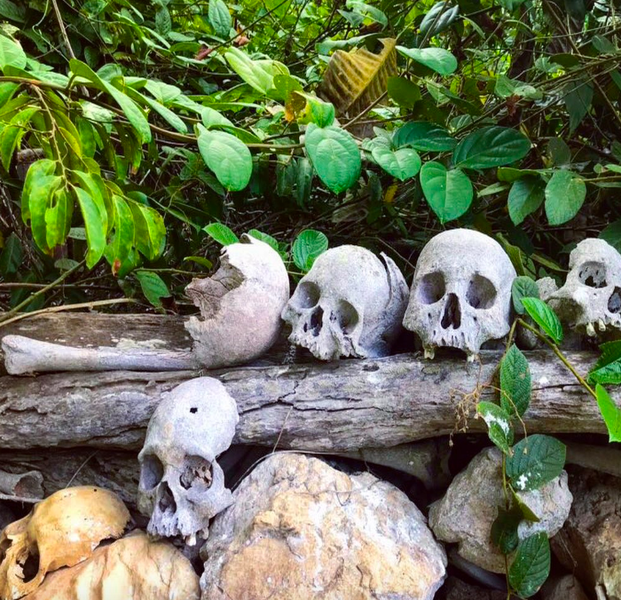 Skulls.