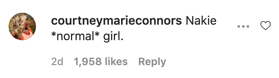 An Instagram comment.