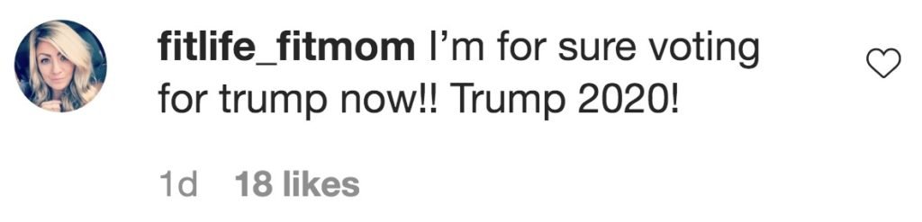 Instagram comments on Courtney Stodden's post calling for people to vote. 