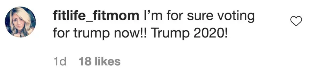 Instagram comments on Courtney Stodden's post calling for people to vote. 