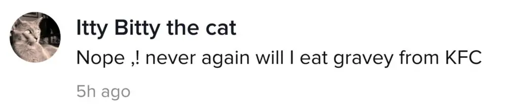 A TikTok comment about KFC gravy.