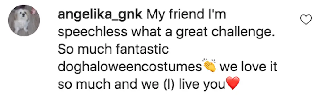 A third user was beyond impressed by the creativity, writing: 'My friend I'm speechless. What a great challenge. So [many] fantastic [dog Halloween costumes] we love it so much and we (I) live you.'