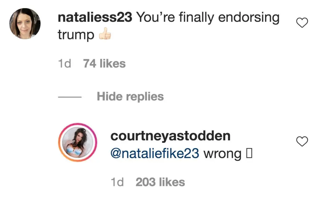 Instagram comments on Courtney Stodden's post calling for people to vote. 