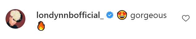 An Instagram comment.