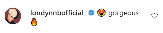 An Instagram comment. 