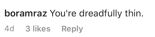 An Instagram comment.