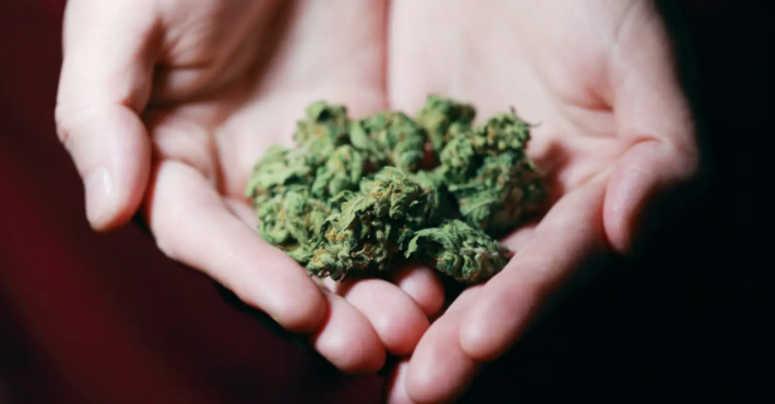 Jay-Z announces new marijuana brand called Monogram