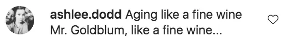 One user with the handle @ashlee.dodd quite rightly said: 'Aging like a fine wine Mr. Goldblum, like a fine wine...'