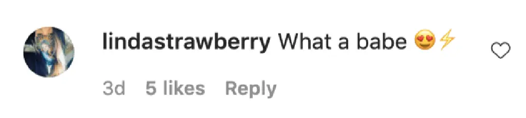 An Instagram comment.