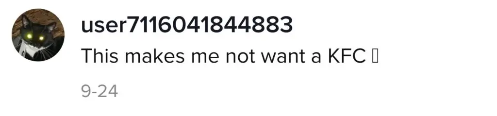 A TikTok comment about KFC chicken.