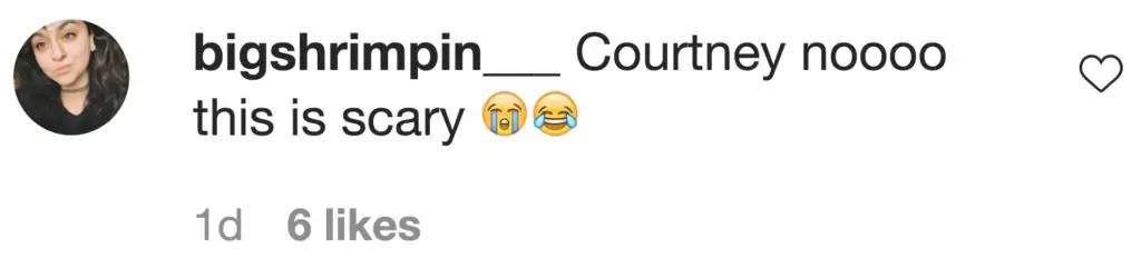 Instagram comments on Courtney Stodden's post calling for people to vote. 