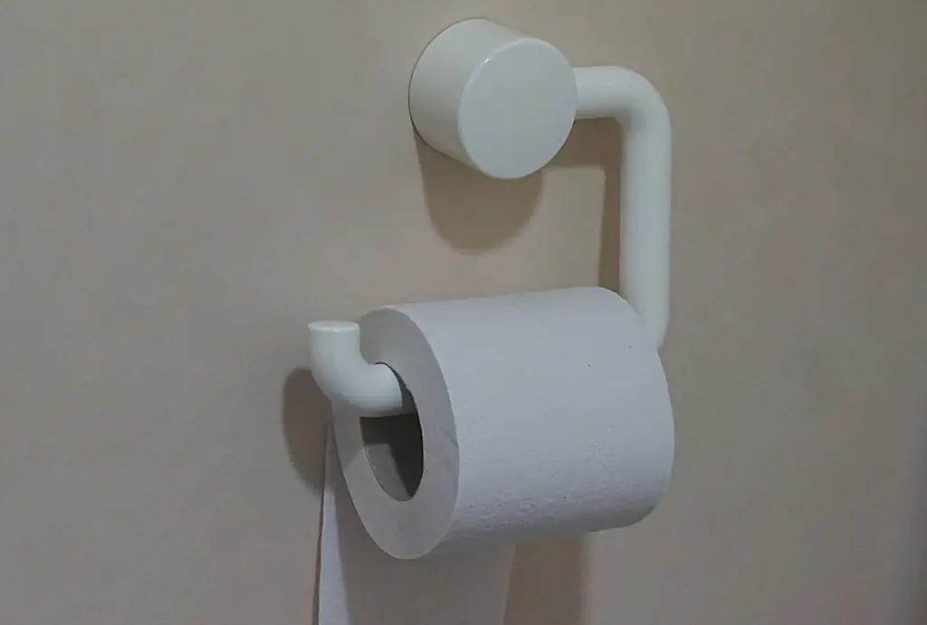 An image of a roll of toilet paper. 