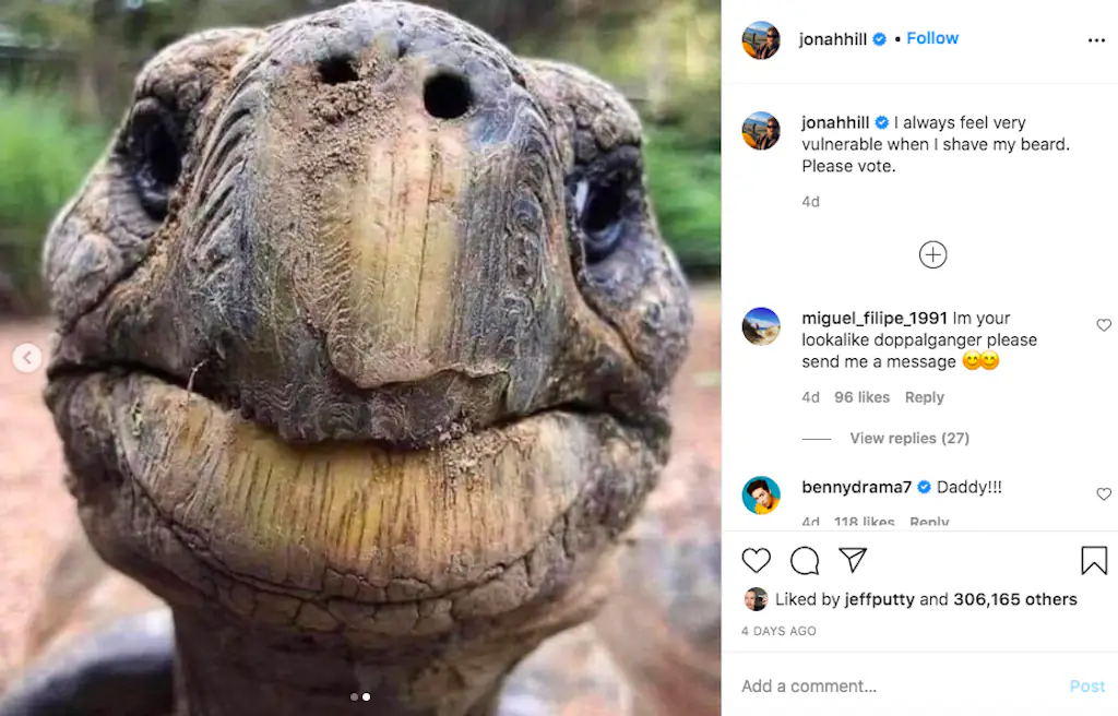 An Instagram screenshot.