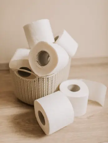 Toilet rolls.