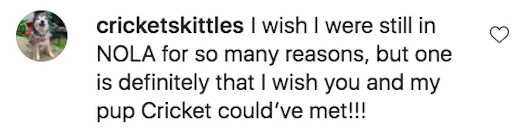 @cricketskittles took to the comments to share: 'I wish I were still in NOLA for so many reasons, but one is definitely that I wish you and my pup Cricket could’ve met!!!'