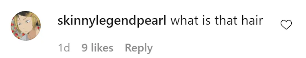 An Instagram comment.
