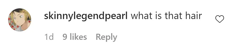 An Instagram comment.