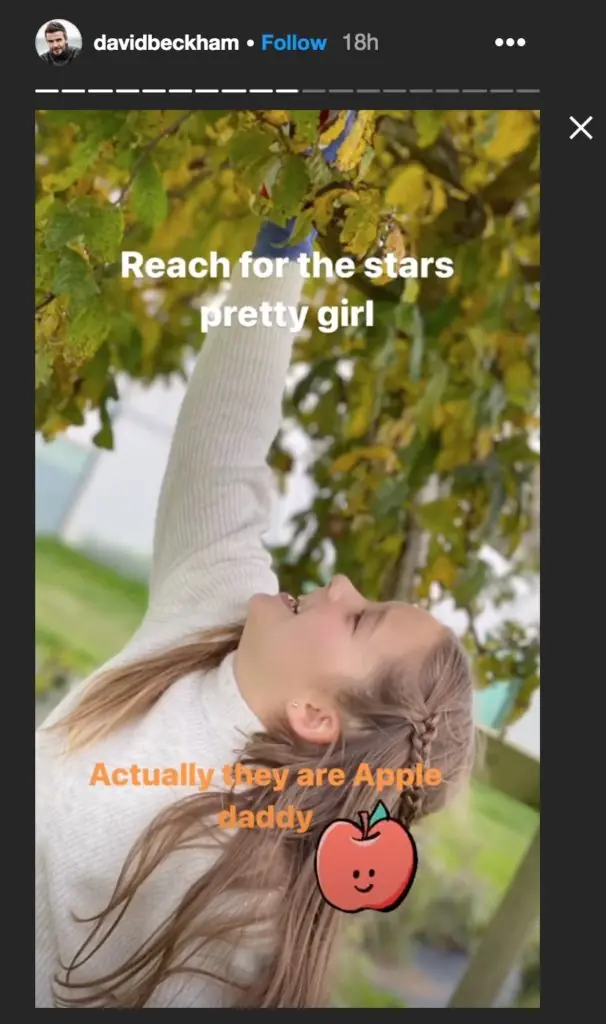 A shot of David Beckham and daughter Harper making autumn wreaths.