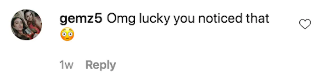 An Instagram comment.