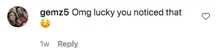 An Instagram comment.