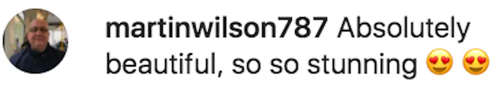 A third user with the handle @martinwilson787 referred to the actress as 'absolutely beautiful, so so stunning.'