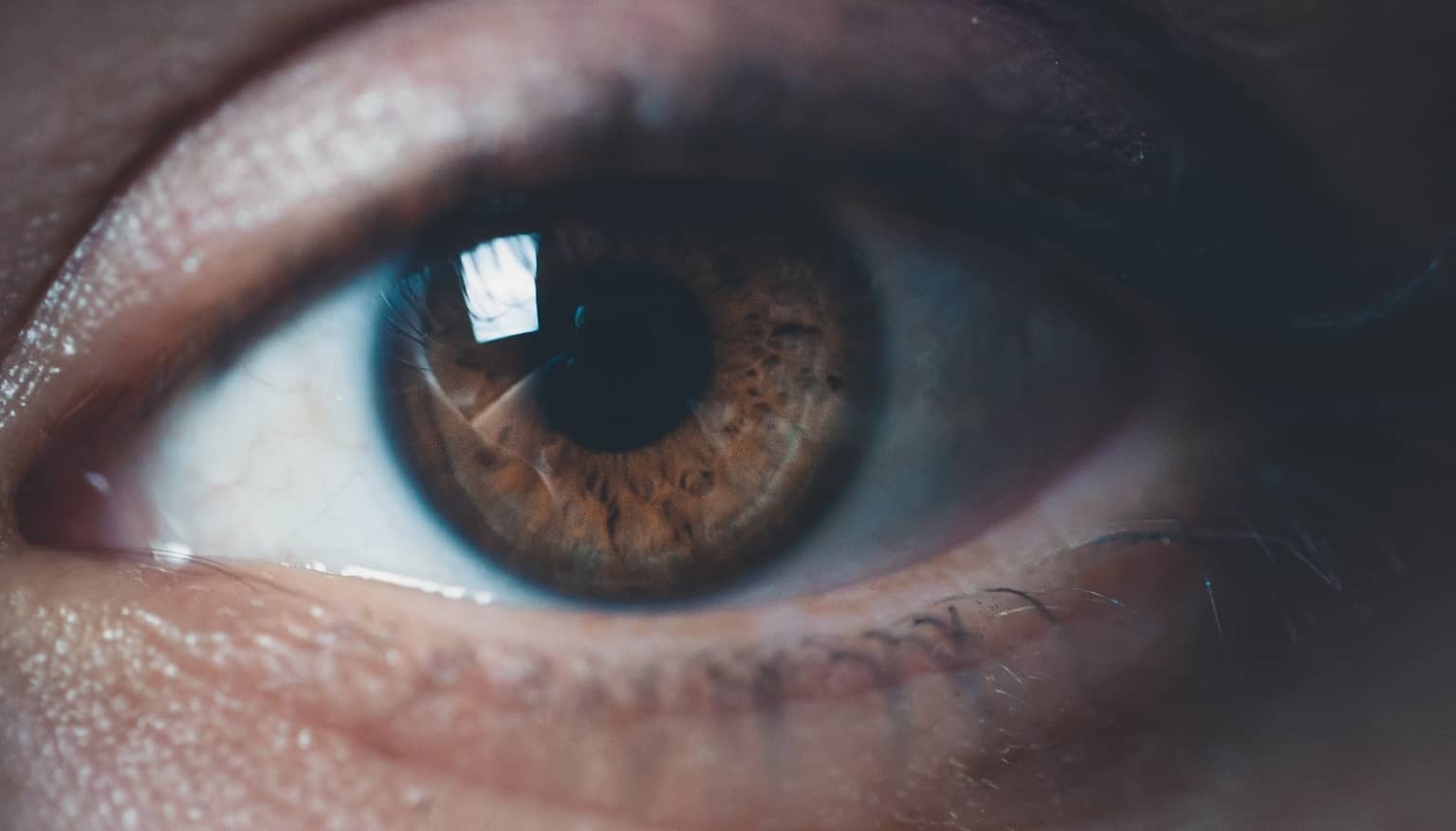 An image of an eye.