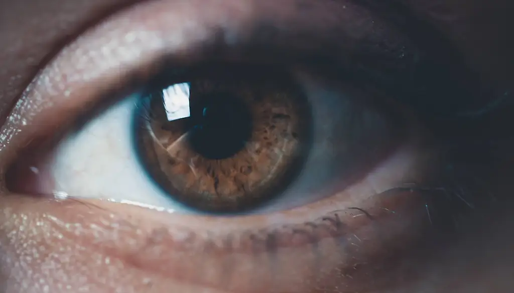 An image of an eye. 