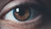 An image of an eye. 