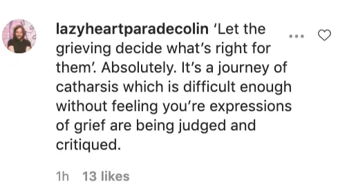 An Instagram comment.