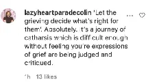 An Instagram comment.