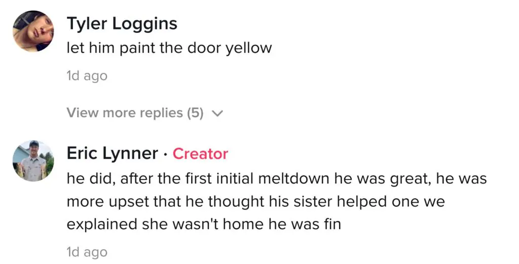 A TikTok comment about boy's reaction to his decorated bedroom. 