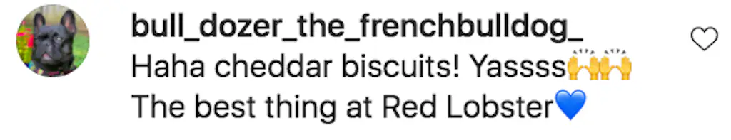 Another fan gushed: 'Haha cheddar biscuits! Yassss [sic] The best thing at Red Lobster.'