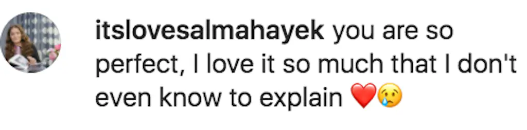 Diehard fan @itslovesalmahayek told the brunette beauty, 'You are so perfect, I love it so much that I don't even know to explain.'