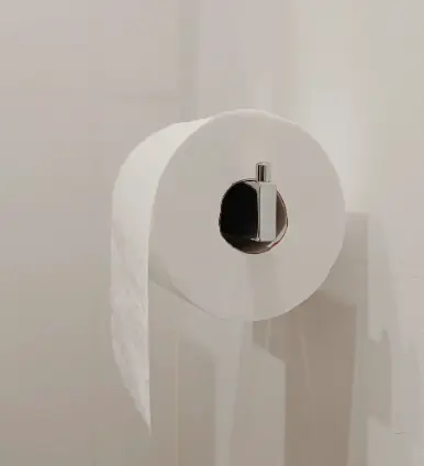 A toilet roll.